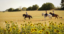 Spain-Southern Spain-Train and Trail - in Southern Spain